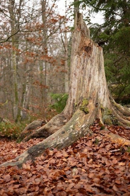 bosch silence plus 46 dba manual pdf