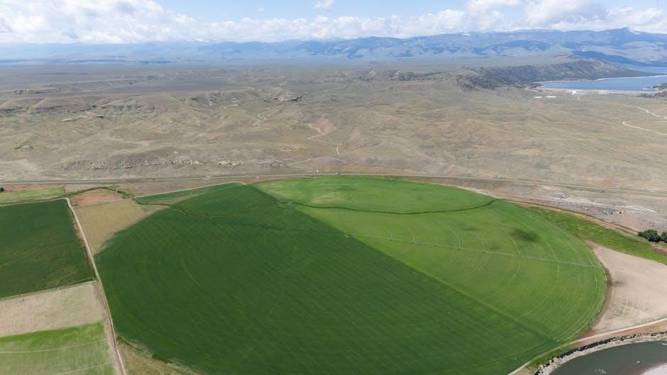 porsche owners manual pdf