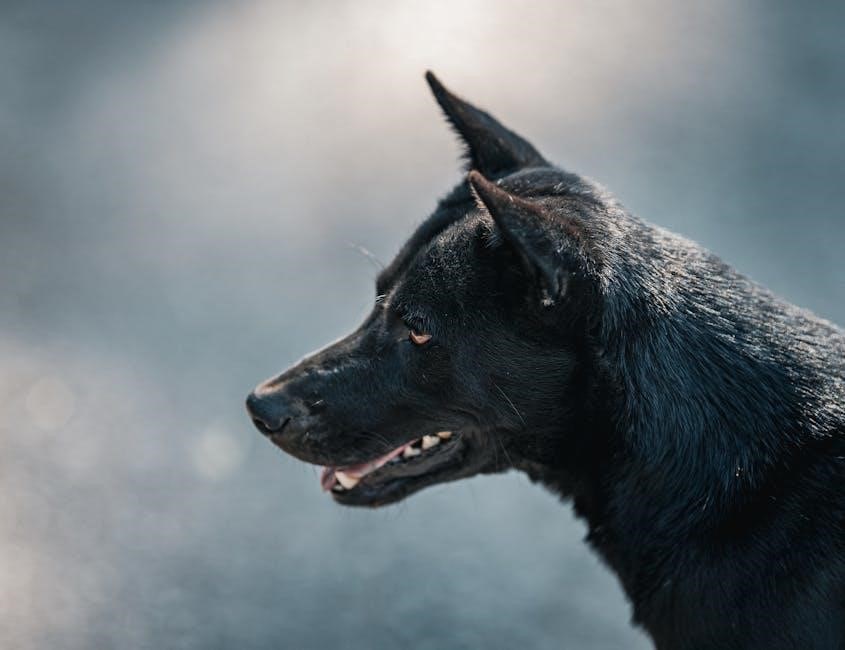 vistas 6th edition pdf free download